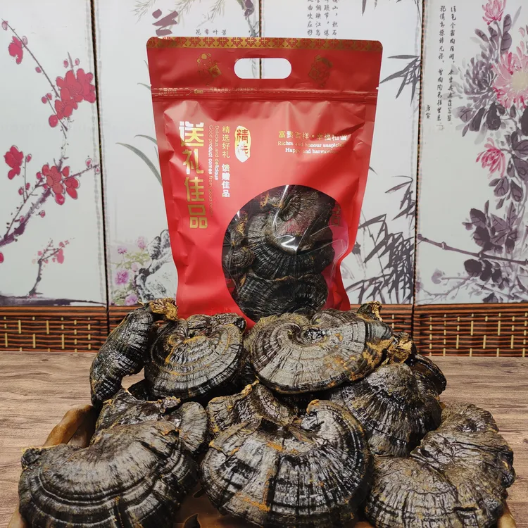 【西藏产地】正宗西藏黑芝芝菌菇250g 大片10-14cm 精美礼品袋包装 
