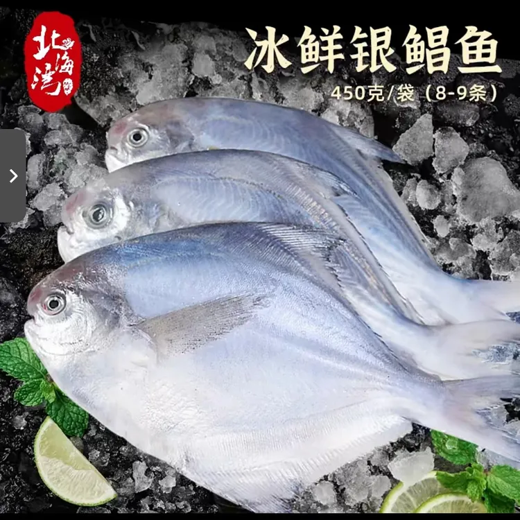 连云港发货纯净重无冰无水鲜活海捕速冻小银鲳鱼肉质鲜嫩