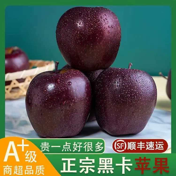 【顺丰包邮】云南昭通黑卡苹果冰糖心苹果 新鲜采摘当季脆甜多汁