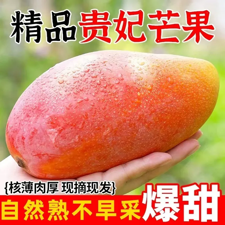 正宗海南贵妃芒3/9斤香甜爆汁 新鲜当季热带水果当季三亚芒果