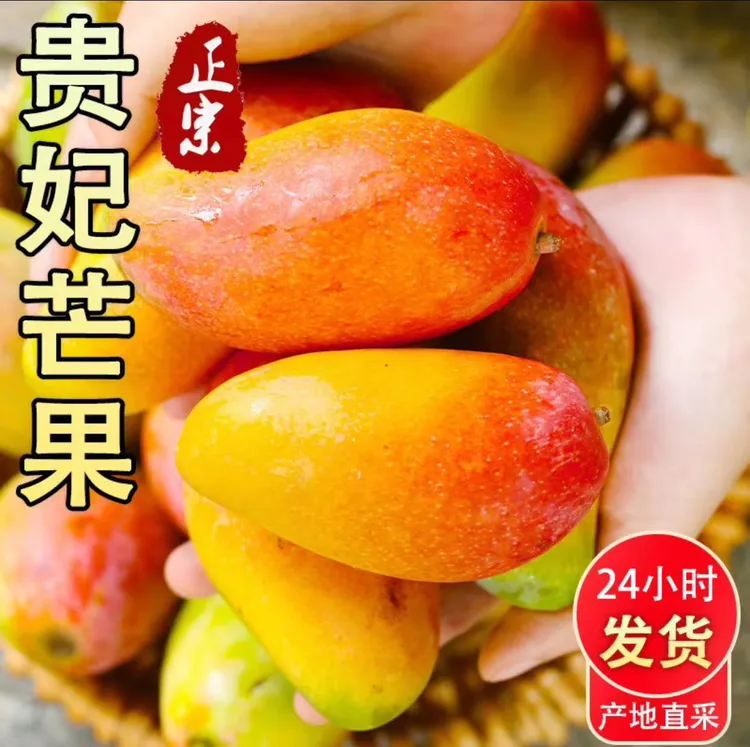 正宗海南贵妃芒3/9斤香甜爆汁 新鲜当季热带水果当季三亚芒果