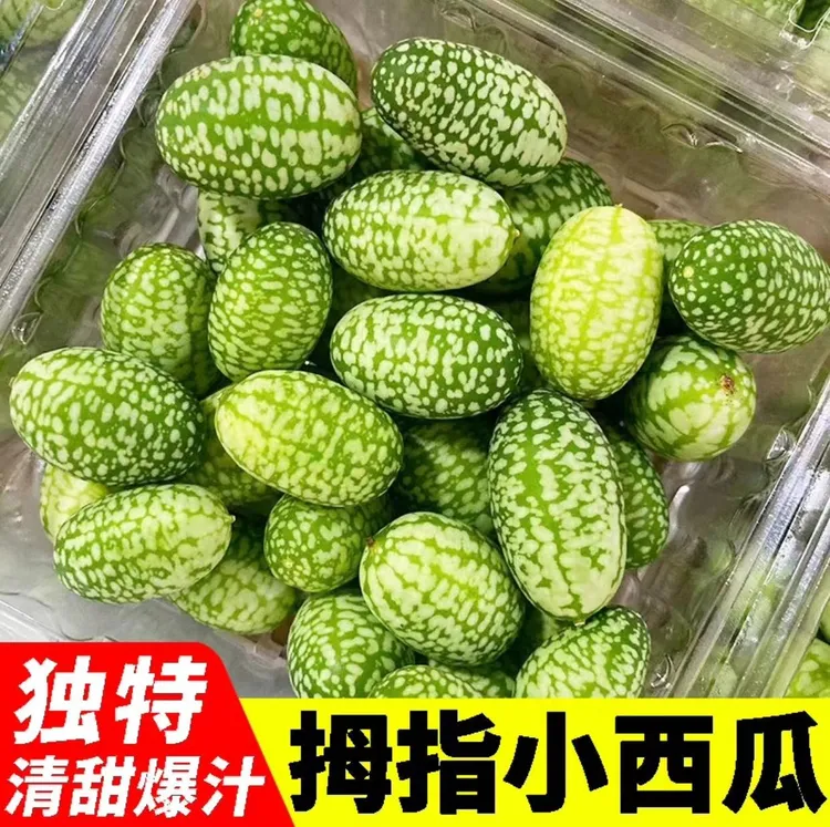 【坏果包赔】现摘拇指西瓜水果新鲜佩普基诺迷你袖珍小西瓜125-500g