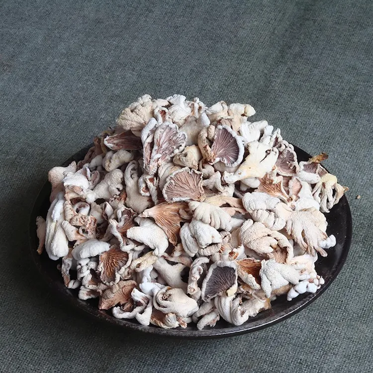 云南德宏白参菌干货 农家特产裂褶菌白花白参沙参树花无脚根50克