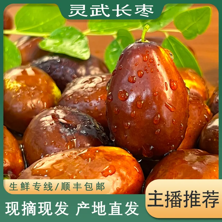 顺丰包邮-宁夏灵武长枣鲜枣 1斤-5斤皮薄肉厚 脆甜爽口 