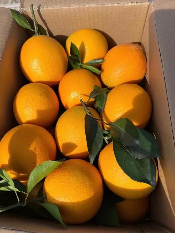 正宗赣南脐橙新鲜现摘应季水果香甜爆汁皮薄多汁