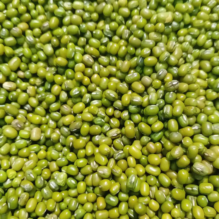 广西桂林农家肥绿豆