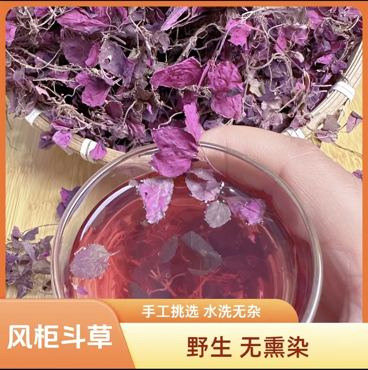 正宗野生风柜斗草干品楮头红小叶福建特级风鼓草风谷草红杆风骨草