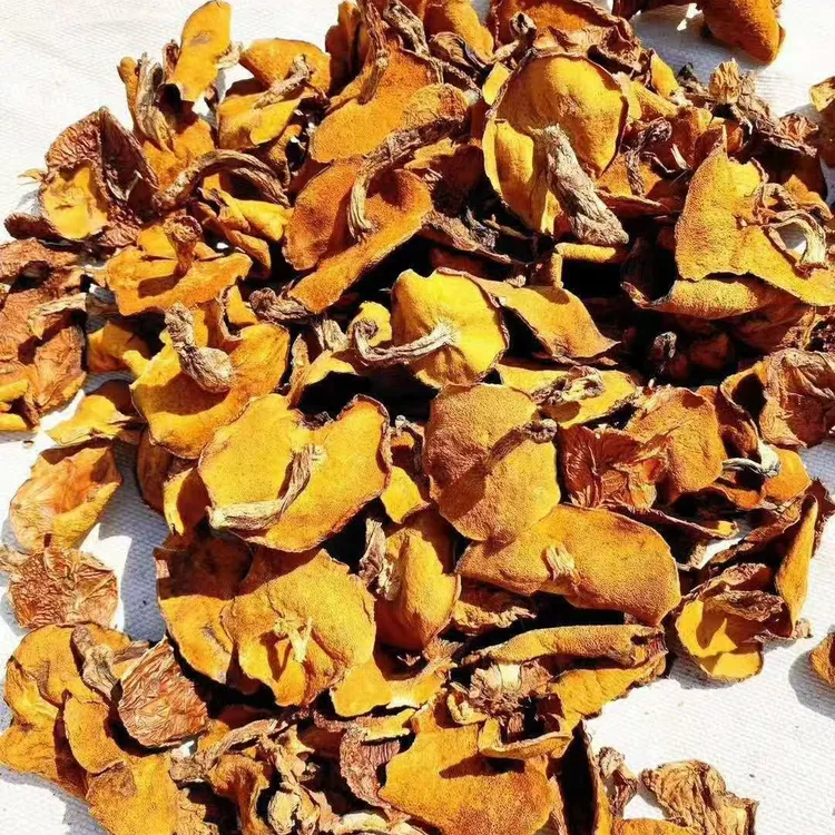 山西特产临汾安泽县优品蘑菇大山生长自然珍品鲜嫩250-500克包邮