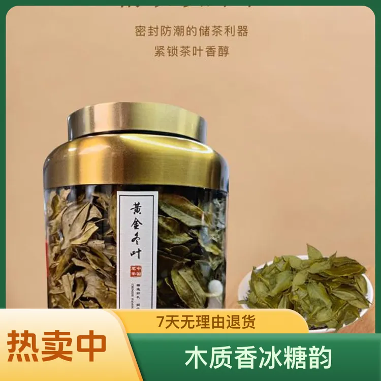 【雾乡皇】温州黄汤 黄金冬叶  品质好茶