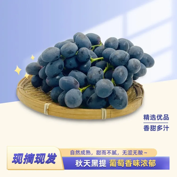 农家种植应季蔬菜水果葡萄秋黑葡萄新鲜现摘现发净重4.2斤8斤装