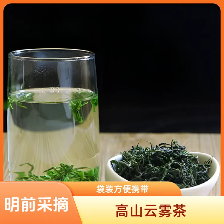 绿茶新茶叶2025高山云雾茶春茶浓香型嫩芽毛尖绿茶叶