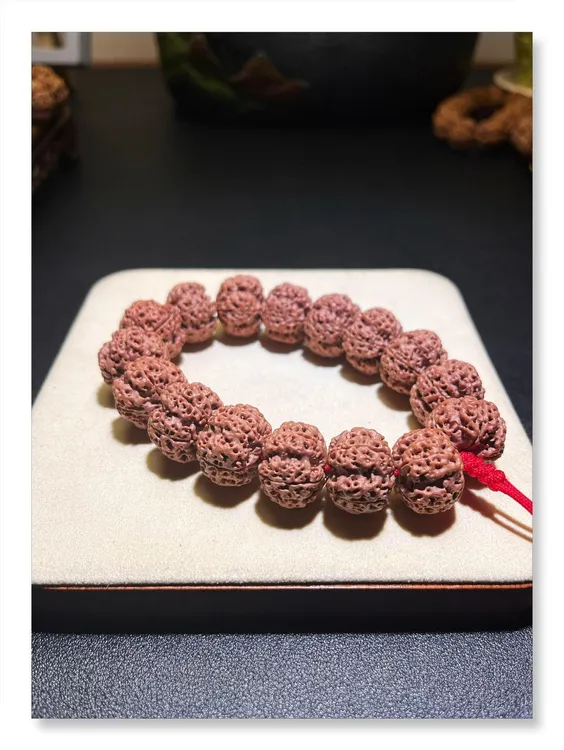 尼泊尔原生态五瓣矮桩梅花平头蜂窝