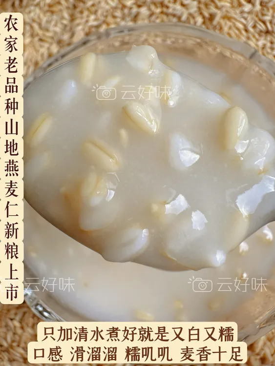 【高原 土 嚥 麦】云南高原大山 老 品 种 原始土嚥-麦-仁