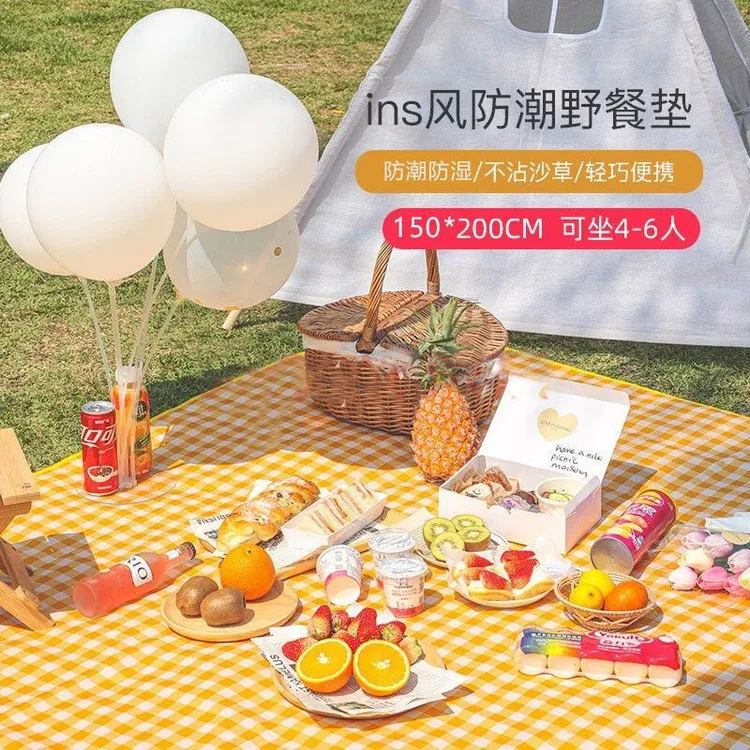 户外用品野餐垫沙滩帐篷垫子防潮垫加厚便携春游垫野餐盒L