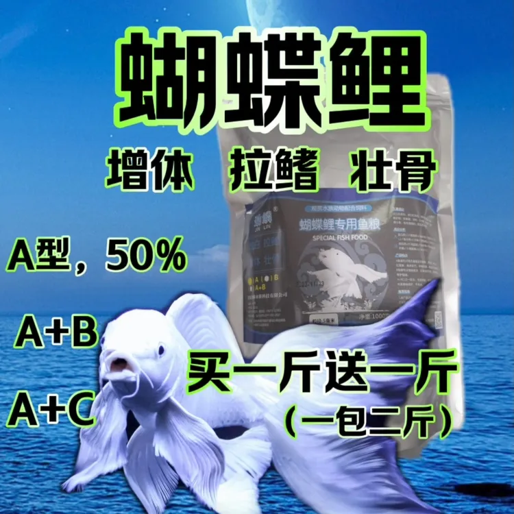 蝴蝶鲤专用鱼粮(买一斤送一斤)