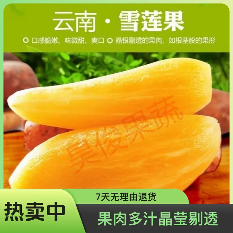 云南天山雪莲果新鲜现挖脆甜多汁清甜可口营养水果
