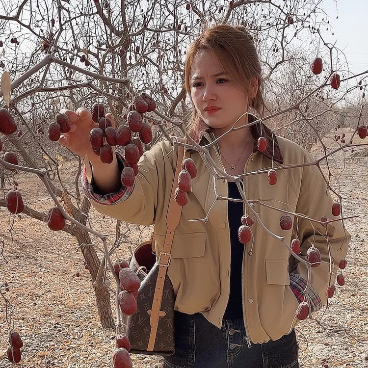 新疆原生态自然吊干灰枣3斤装