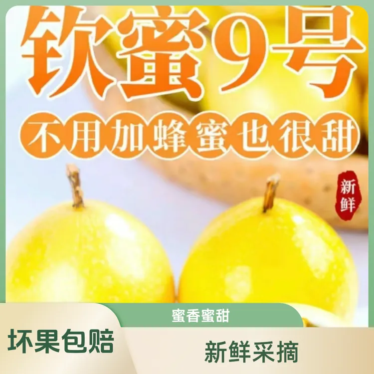 【果然甜】正宗广西钦蜜9号黄金百香果蜜甜多汁皮薄肉厚香甜饱满 