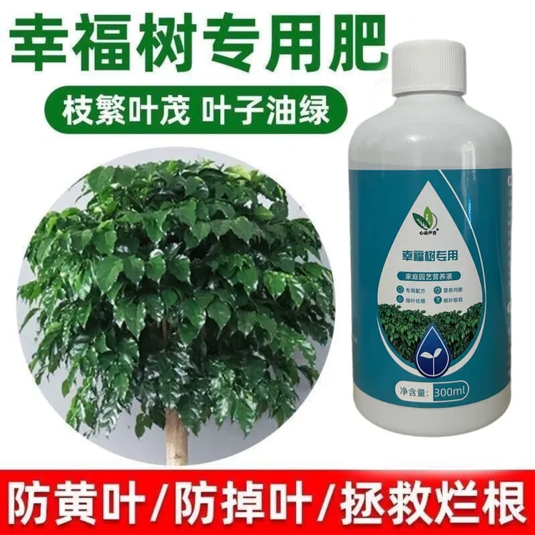 幸福树专用肥营养液室内盆栽绿植防黄叶掉叶植物通用液体水溶肥料