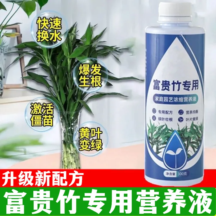 【抢！5瓶装】富贵竹专用营养液发财观音竹水培植物铜钱草绿通用肥料