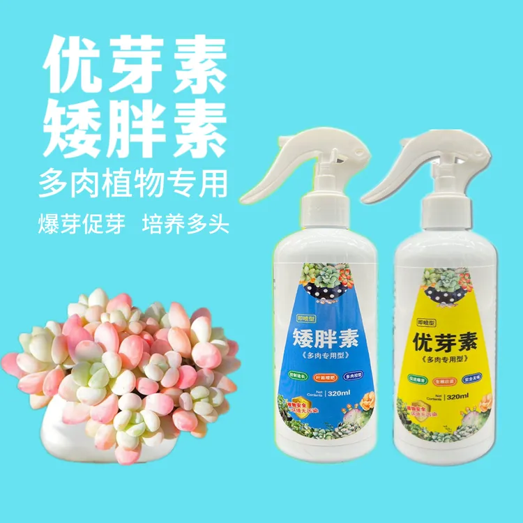 矮胖素优芽素多肉专用爆芽素促生长营养液促侧芽多肉植物激活植株