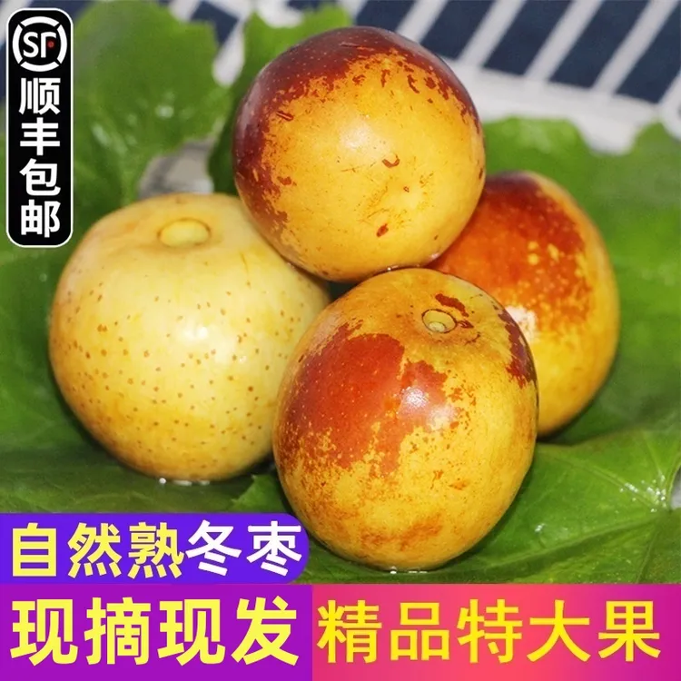顺丰包邮陕西大荔冬枣新鲜水果整箱当季大枣枣子甜脆鲜枣5斤3斤
