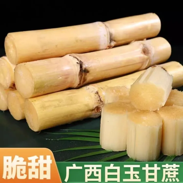 广西贵港特产蔗姑娘木格白玉甘蔗新鲜脆口清甜多汁顺丰京东包邮