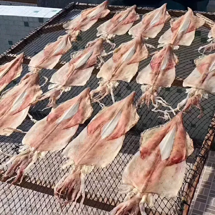 东山岛鱿鱼干 大小规格有