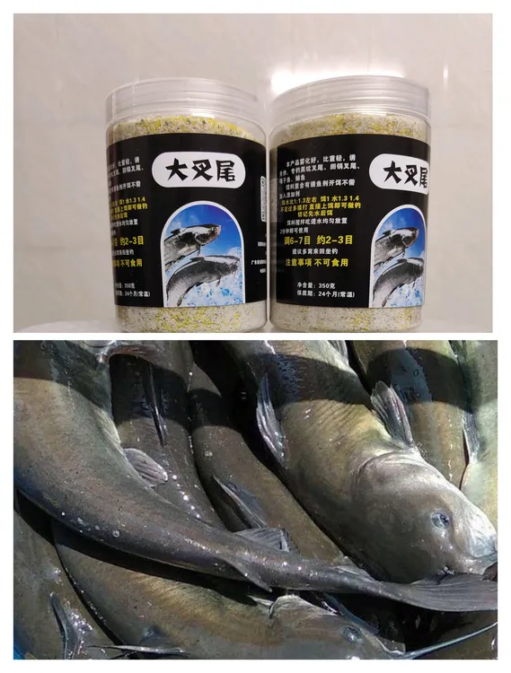 拍一发二 叉尾饵  黑坑滑鱼  叉尾  鲤鱼  鲫鱼  草鱼黑皖 