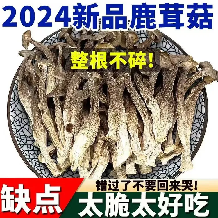 【高山鹿茸菇】无硫干货菌菇炒菜炖煲鸡汤鲜美炒肉营养美味炖汤鲜香