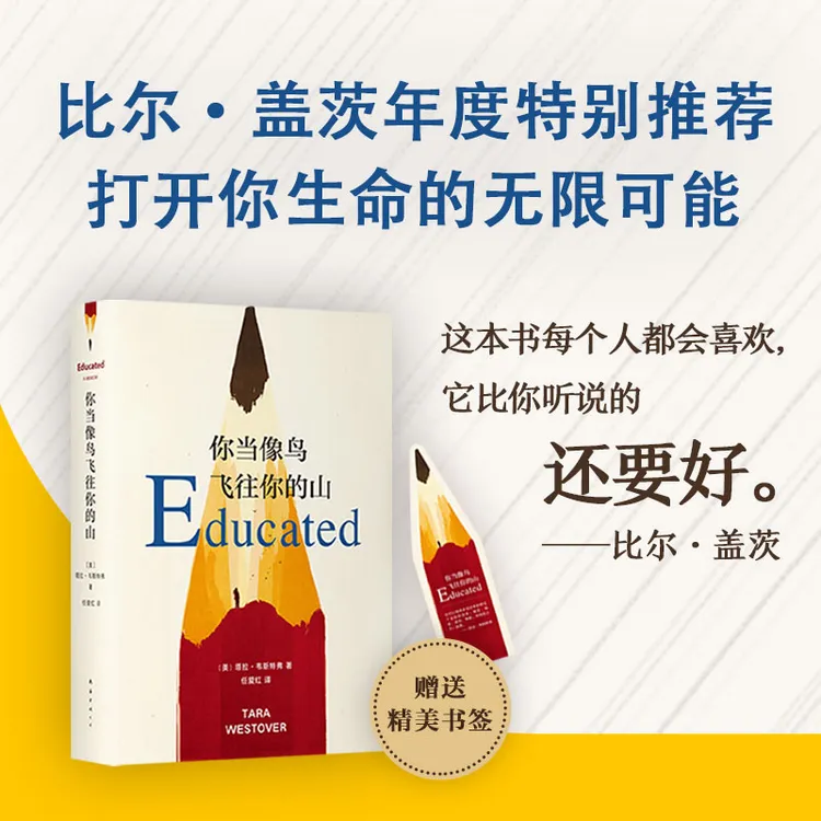 你当像鸟飞往你的山  比尔·盖茨年度特别推荐 
