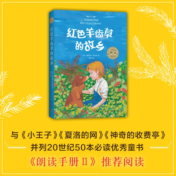 【爱心树官方】红色羊齿草的故乡 动物小说 成长 励志 教师推荐阅读