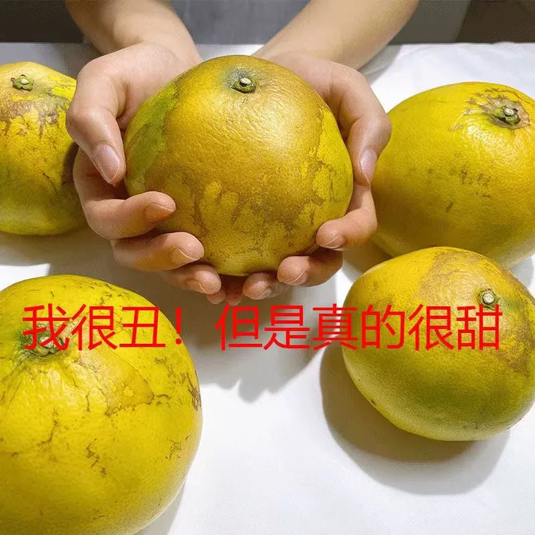 正宗福建黄金葡萄柚黄心柚子蜜柚维C西柚当季新鲜水果5/9斤箱装