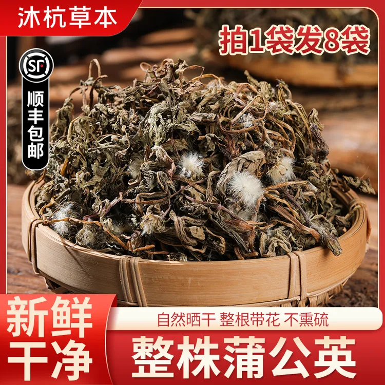 【山货蒲公英】2024年新货蒲公英无农残不熏硫自然晾晒夏枯草车前草