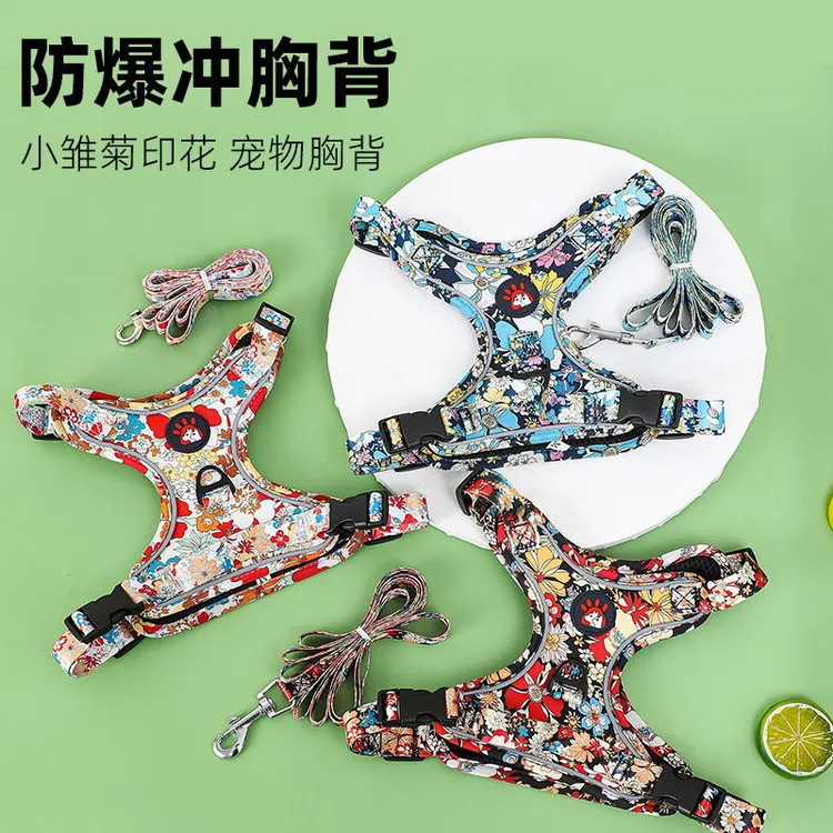 爆款宠物胸背背心式泰迪比熊新款胸背带防挣脱可调节牵引绳遛狗绳