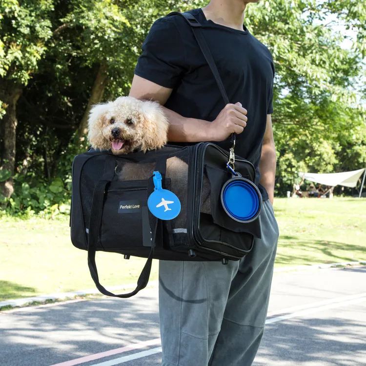 宠物包外出便携包小型犬猫咪包手提斜挎猫猫狗狗宠物车载包可折叠