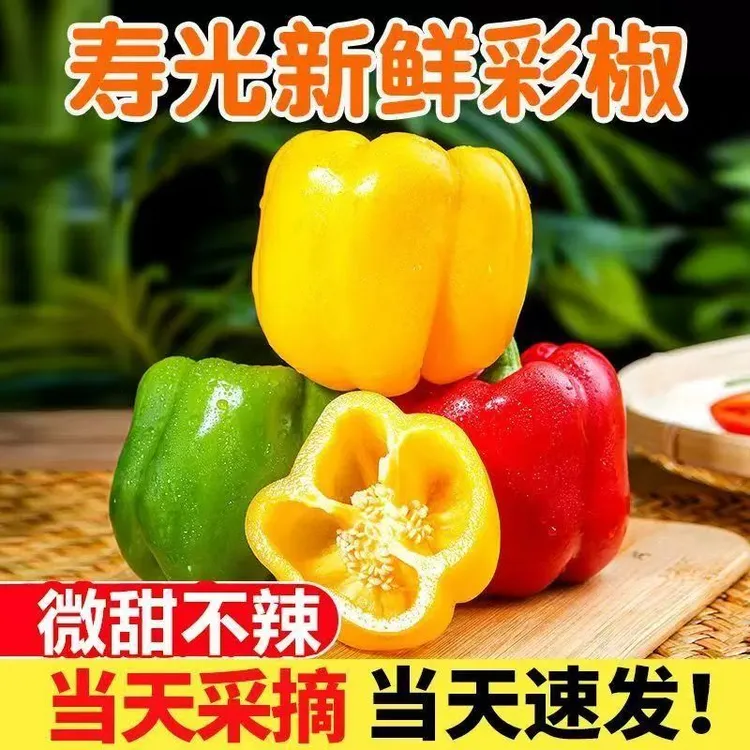 【顺丰】山东新鲜水果五彩椒太空椒甜椒生吃不辣(1-4斤)现摘现发