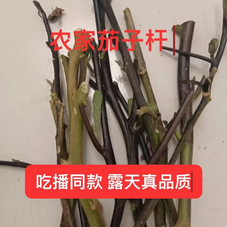 新鲜茄子杆嫩枝卤茄子杆农家直供，可炸、卤，口感脆香吃播网红专用