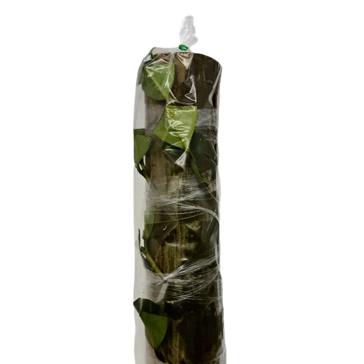 腹接腰接直筒嫁接套袋园艺嫁接袋膜 保温 保湿 树苗防冻 提高成活