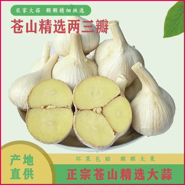 【苍山大蒜】老品种两三瓣大蒜山东特产白皮蒜1-5斤