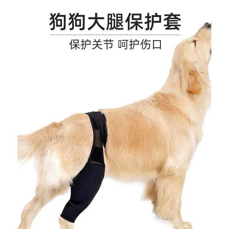 狗狗大腿受伤护具护膝伤残髌骨膝盖髋关节辅助术后伤口护理腿套