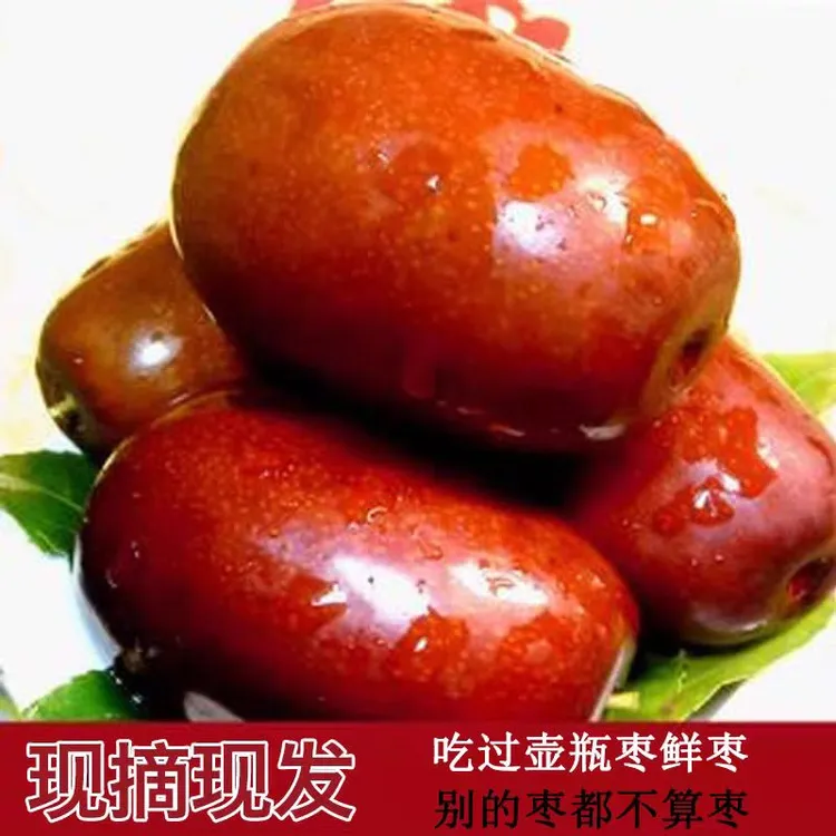 太谷壶瓶枣鲜枣现摘现发新鲜皮薄肉厚核小产地非灵武长枣爽口