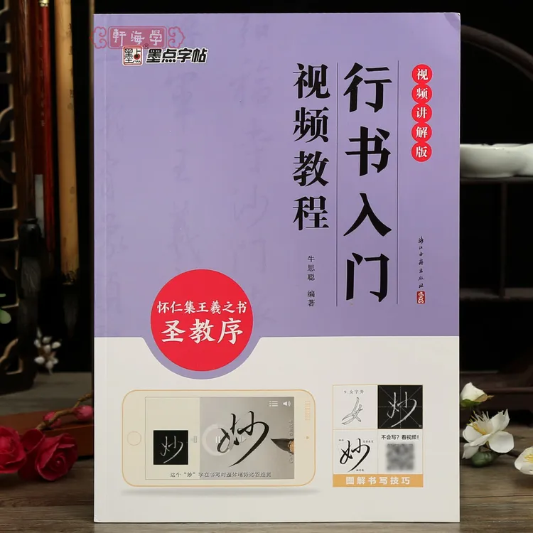 行书入门视频教程怀仁集王羲之书圣教序图解书写技巧视频讲解版线