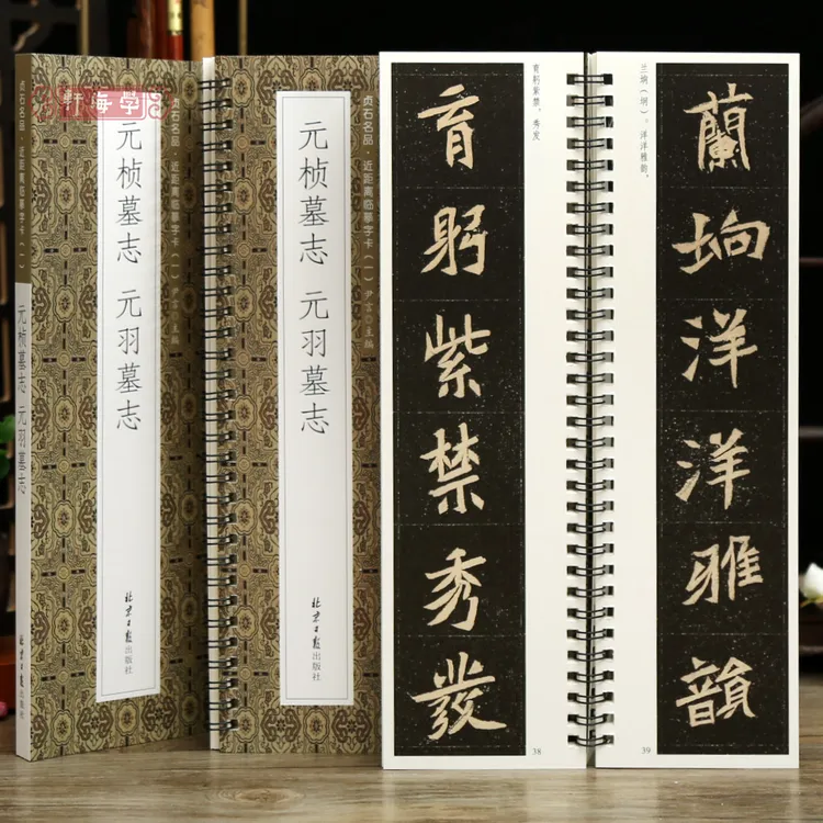 学海轩元桢墓志元羽墓志贞石名品近距离临摹字卡原色原帖简体旁注