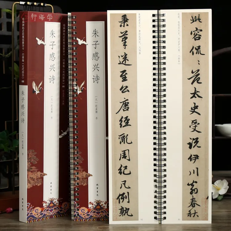 学海轩赵孟頫朱子感兴诗碑帖近距离临摹字卡行草卷元代原色原帖