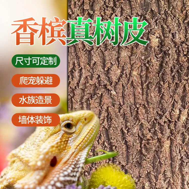 香槟真树皮背景板宠物造景装饰绿植墙爬宠箱守宫蜥蜴躲避饲养箱