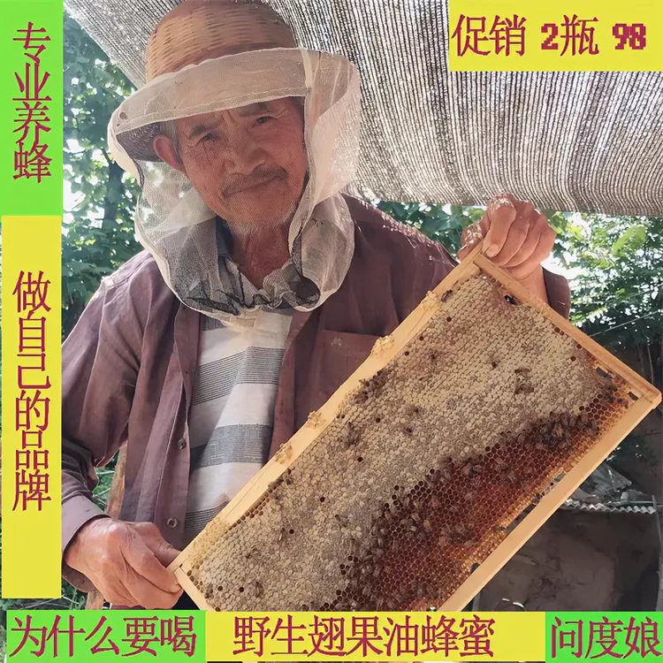 蜂争疯翅果蜜新鲜农家自产自然成熟原蜜会结晶山西特产