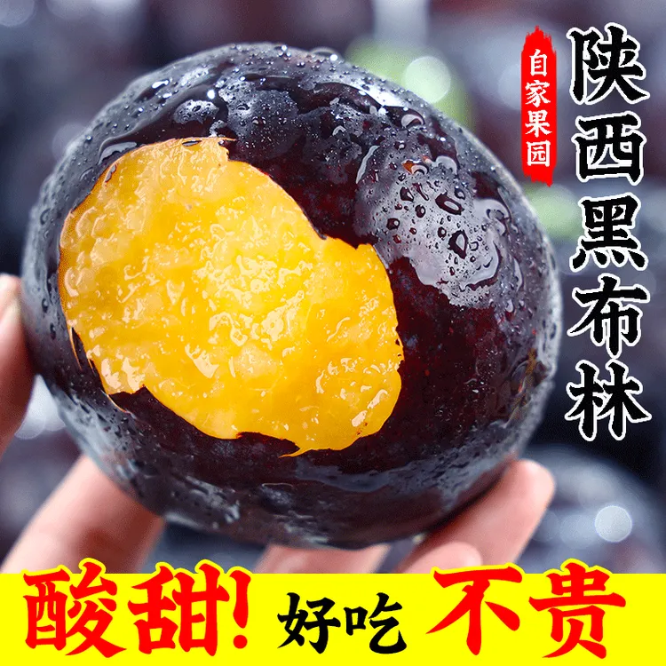 正宗陕西黑布林李子新鲜水果酸甜爽口净重5斤包邮黑布李