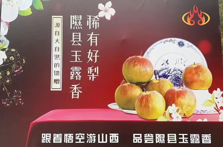 正宗隰县玉露香梨，高级礼盒装，9颗，净重8.5斤，皮薄肉厚，脆甜多汁。