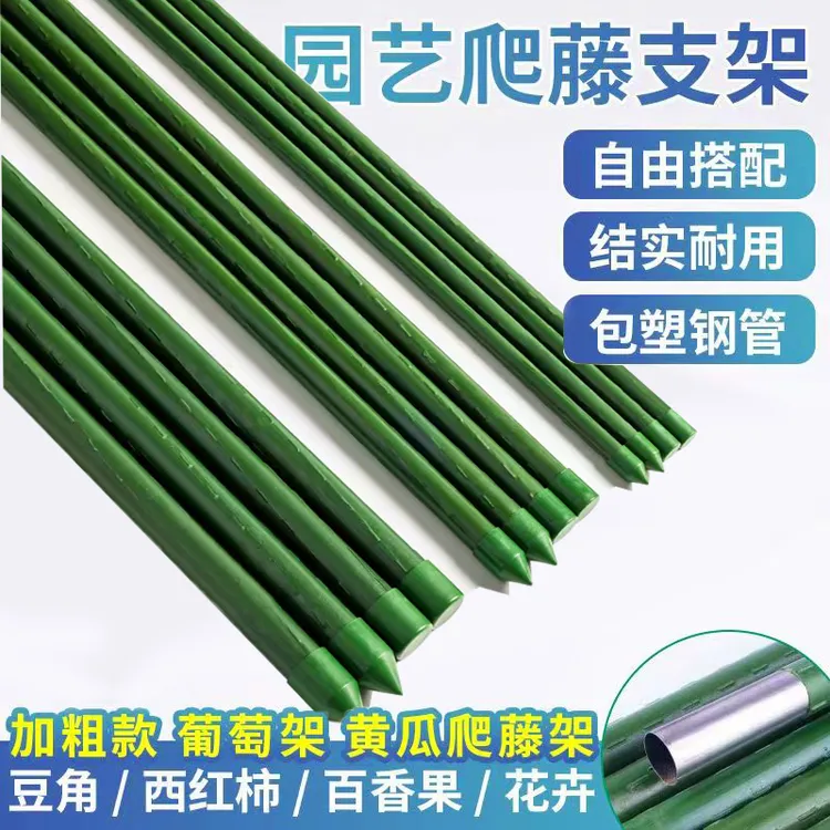 黄瓜豆角架葡萄番茄家用爬藤支架杆子月季杆子葡萄爬藤架商品图